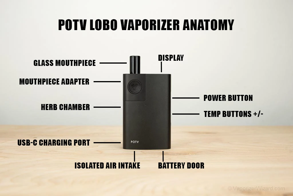 POTV LOBO REVIEW